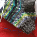 IMG-20220827-WA0019